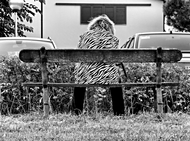 Clicca per l'immagine full size