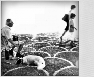 Nome File=DOGS.jpg
Dimensione File=314KB
Dimensioni=1024x843
Data aggiunta=Ago 22, 2011 DOGS.jpg