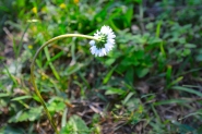 DSC_2924.JPG DSC_2924.JPG