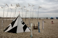 DSC_7511pc25.jpg