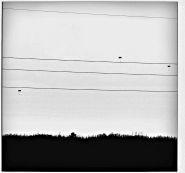 Nome File=MINIMALSTREET.jpg
Dimensione File=141KB
Dimensioni=1000x940
Data aggiunta=Gen 13, 2012 MINIMALSTREET.jpg