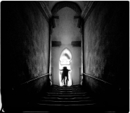 Filename=NOSFERATU-2--gix.jpg
Filesize=175KB
Dimensions=1200x1057
Date added=Dec 10, 2019 NOSFERATU-2--gix.jpg