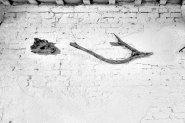 Nome File=PREDATORI-E-PREDE.jpg
Dimensione File=249KB
Dimensioni=1200x800
Data aggiunta=Ott 26, 2014 PREDATORI-E-PREDE.jpg