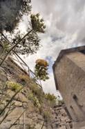 Nome File=VISTA_DI_FORMICA.JPG
Dimensione File=203KB
Dimensioni=800x1200
Data aggiunta=Set 29, 2021 VISTA_DI_FORMICA.JPG