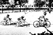 _DSC1077_faenza_agosto_2020.JPG _DSC1077_faenza_agosto_2020.JPG