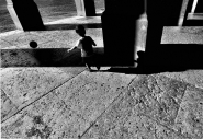 Nome File=agosto_2011.jpg
Dimensione File=366KB
Dimensioni=1024x706
Data aggiunta=Ago 21, 2011 agosto_2011.jpg