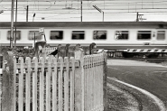 aprile_2012_mm.jpg