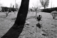 elenabees_1200.jpg elenabees_1200.jpg