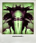 elephantastic-pola.jpg