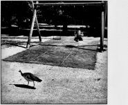Nome File=elfo_childhood.jpg
Dimensione File=333KB
Dimensioni=1200x987
Data aggiunta=Dic 18, 2011 elfo_childhood.jpg