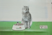 im25DSC_7308.jpg