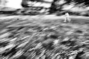 Nome File=la_palla_blu.JPG
Dimensione File=148KB
Dimensioni=1024x685
Data aggiunta=Apr 26, 2010 la_palla_blu.JPG