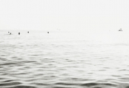 minimal_marina_1.JPG