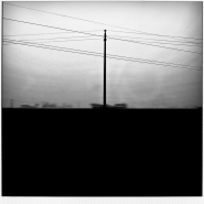 myorizon-pola_(1200x1200).jpg