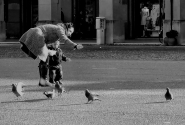 Nome File=pavaglione.JPG
Dimensione File=168KB
Dimensioni=1024x696
Data aggiunta=Feb 28, 2010 pavaglione.JPG