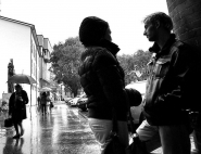 Nome File=raindog.JPG
Dimensione File=152KB
Dimensioni=1024x789
Data aggiunta=Nov 18, 2010 raindog.JPG