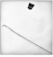 Nome File=sumatra_kite_pola).jpg
Dimensione File=215KB
Dimensioni=1129x1200
Data aggiunta=Ago 28, 2012 sumatra_kite_pola).jpg