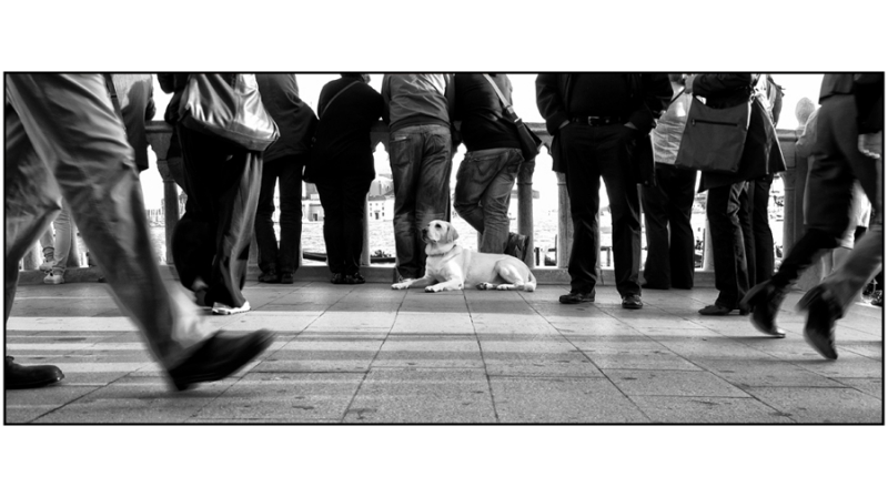Clicca per l'immagine full size