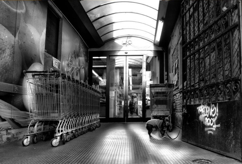 Clicca per l'immagine full size