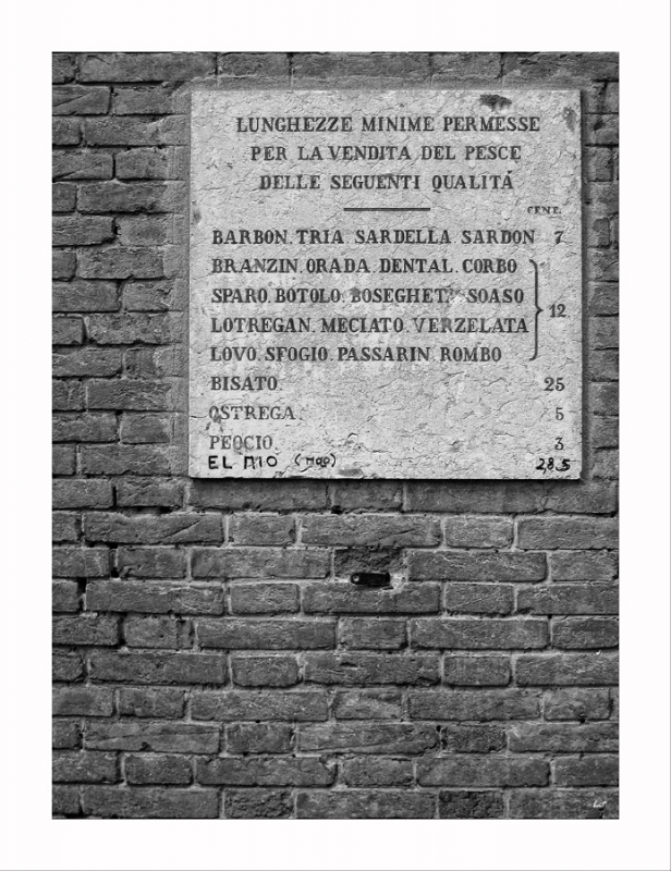 Clicca per l'immagine full size