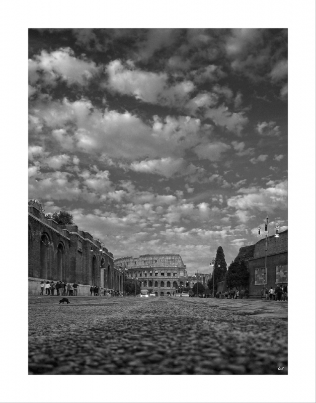 Clicca per l'immagine full size