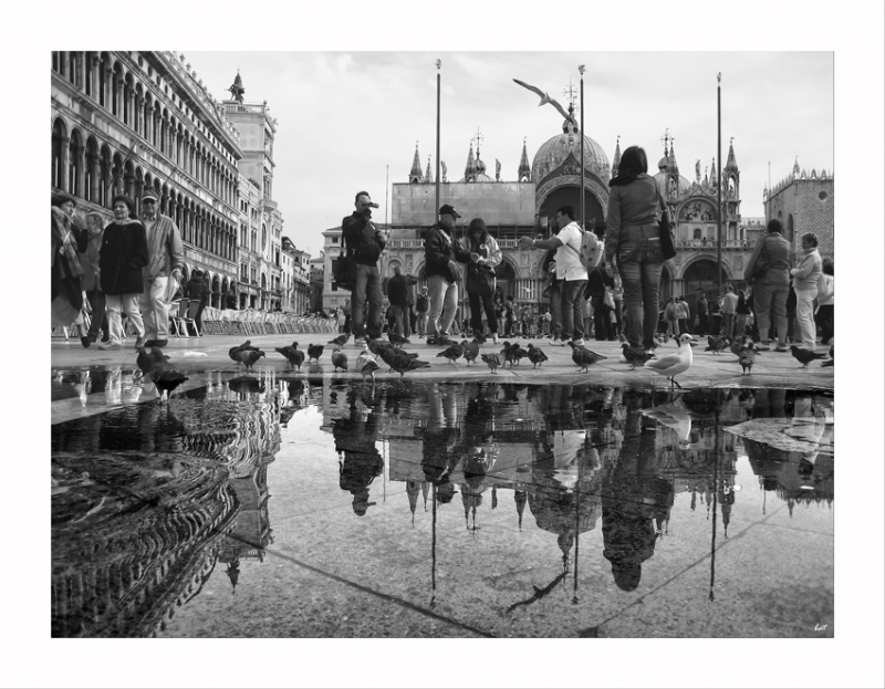 Clicca per l'immagine full size