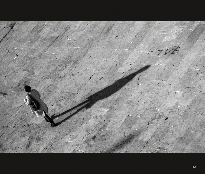 Clicca per l'immagine full size