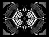 Bat_-_Escher_2.jpg