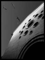 Churchbirds.jpg