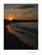 Nome File=Good_morning_life.jpg
Dimensione File=274KB
Dimensioni=782x1024
Data aggiunta=Ago 09, 2011 Good_morning_life.jpg