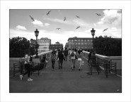Nome File=Seagulls~0.jpg
Dimensione File=386KB
Dimensioni=1024x805
Data aggiunta=Mag 27, 2010 Seagulls~0.jpg