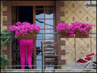 think_pink.jpg think_pink.jpg