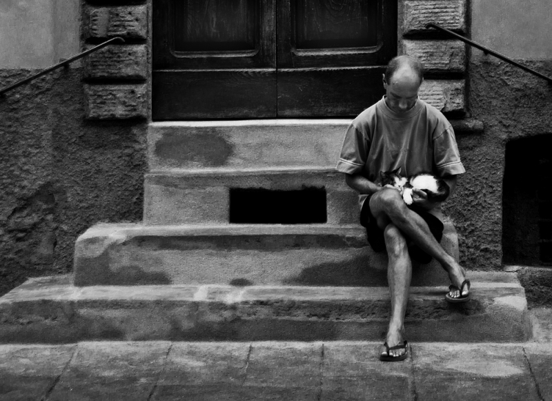 Clicca per l'immagine full size