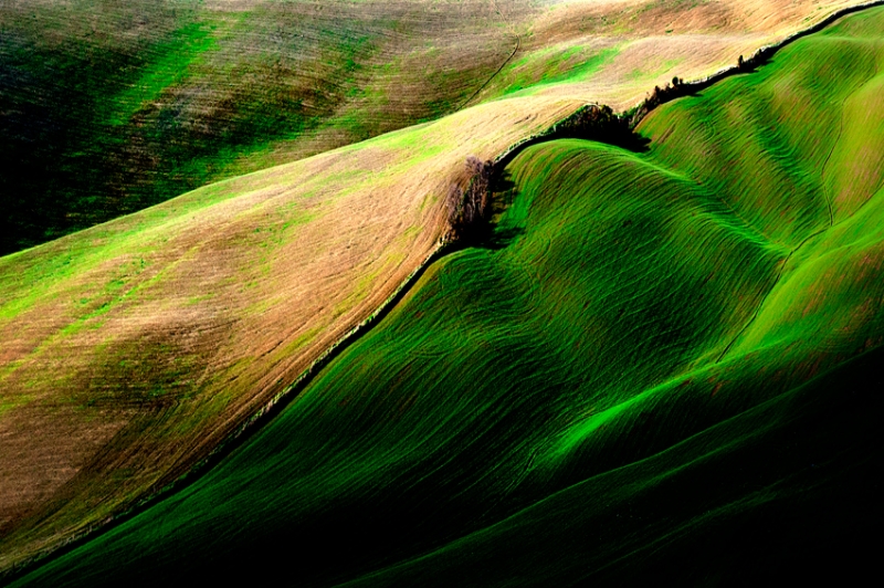 Clicca per l'immagine full size