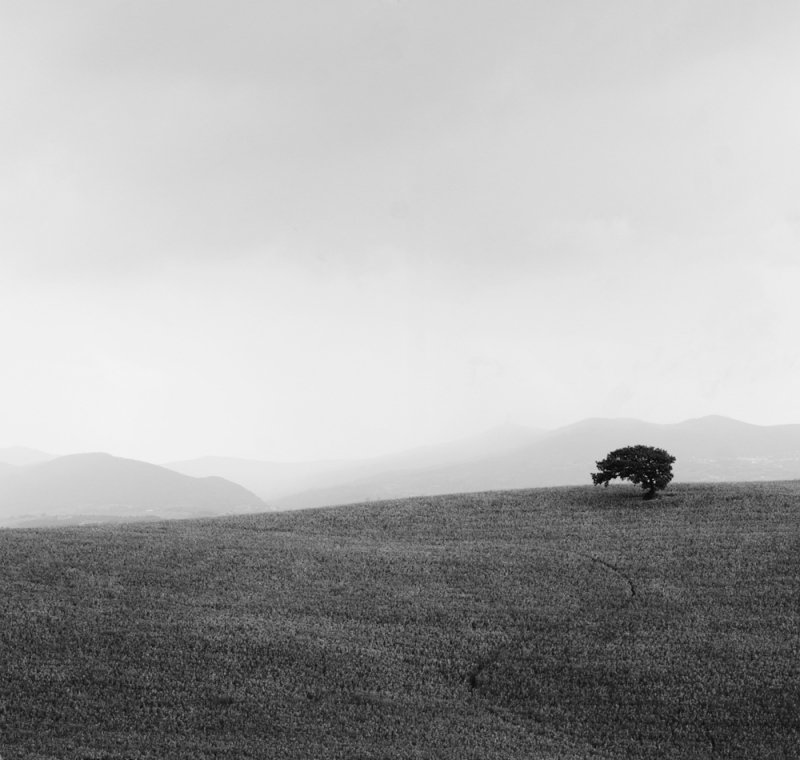 Clicca per l'immagine full size