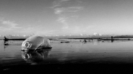 Nome File=mare-nero.jpg
Dimensione File=52KB
Dimensioni=800x446
Data aggiunta=Ago 31, 2009 mare-nero.jpg