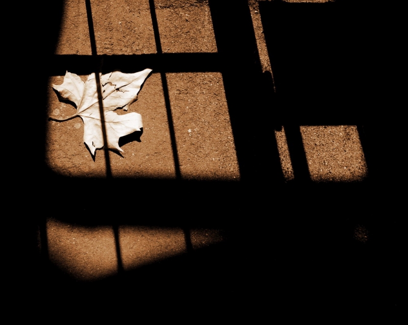 Clicca per l'immagine full size