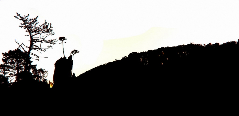 Clicca per l'immagine full size
