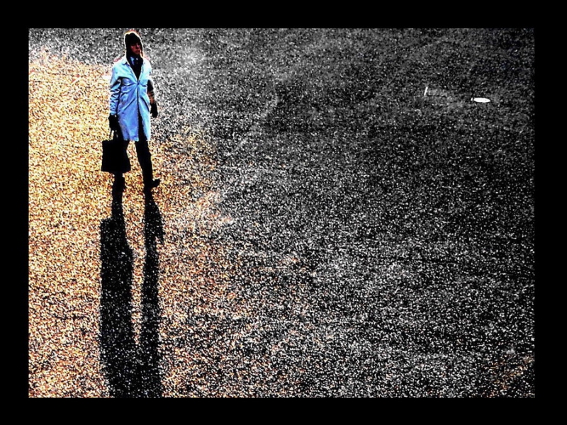 Clicca per l'immagine full size