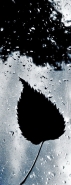 Nome File=bkmarkweb.jpg
Dimensione File=153KB
Dimensioni=393x1024
Data aggiunta=Mag 31, 2011 bkmarkweb.jpg