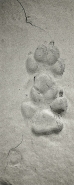 Nome File=bookmark.jpg
Dimensione File=237KB
Dimensioni=413x1024
Data aggiunta=Mag 30, 2011 bookmark.jpg