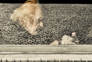xxxx_(1_di_1)-2.jpg
