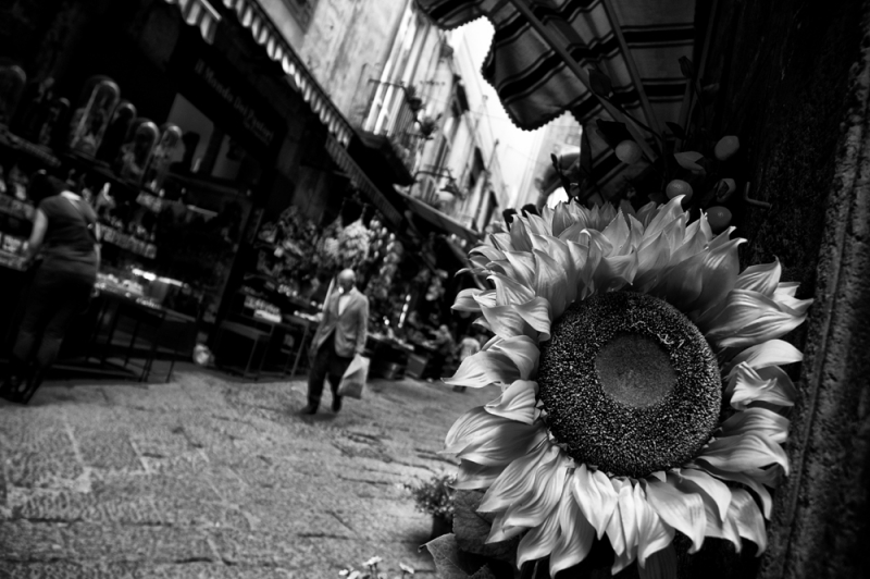 Clicca per l'immagine full size