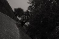 3522995291_d1537bb607_b.jpg 3522995291_d1537bb607_b.jpg