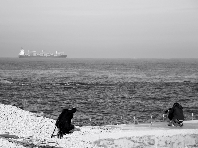Clicca per l'immagine full size