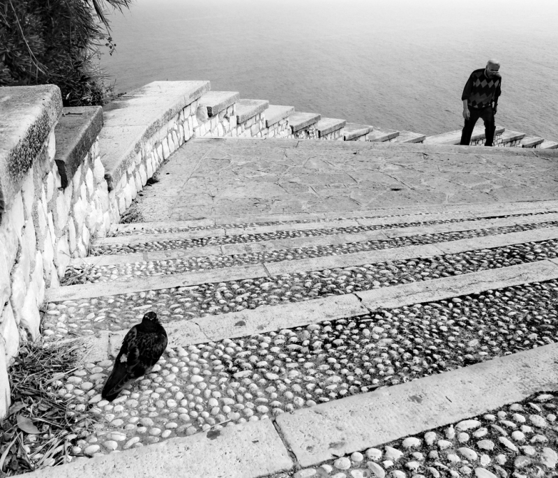Clicca per l'immagine full size