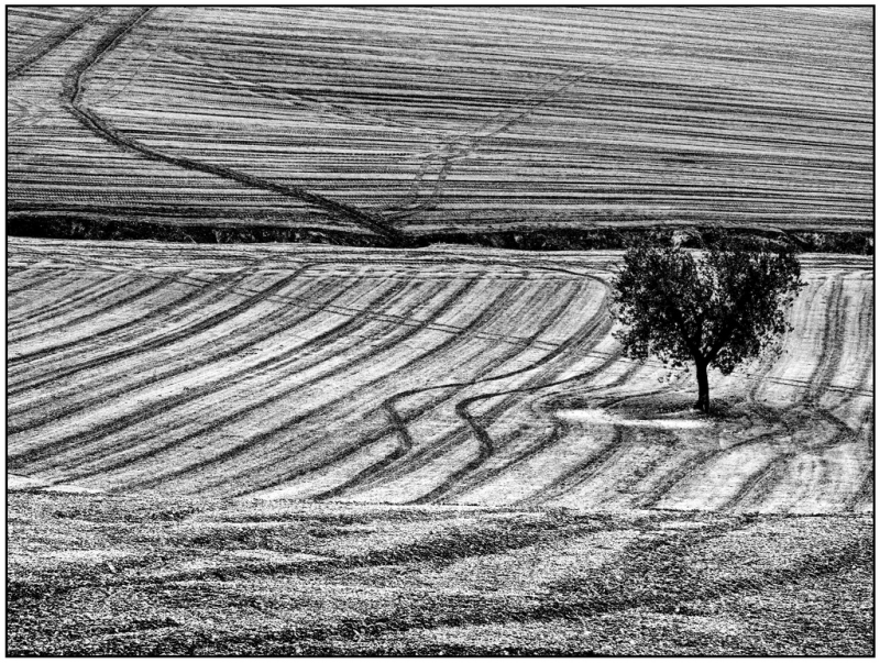 Clicca per l'immagine full size