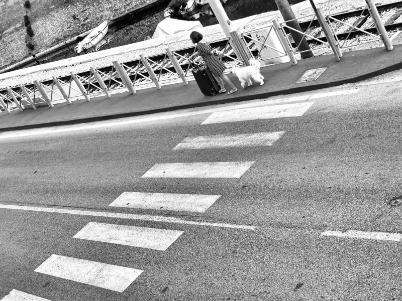Clicca per l'immagine full size