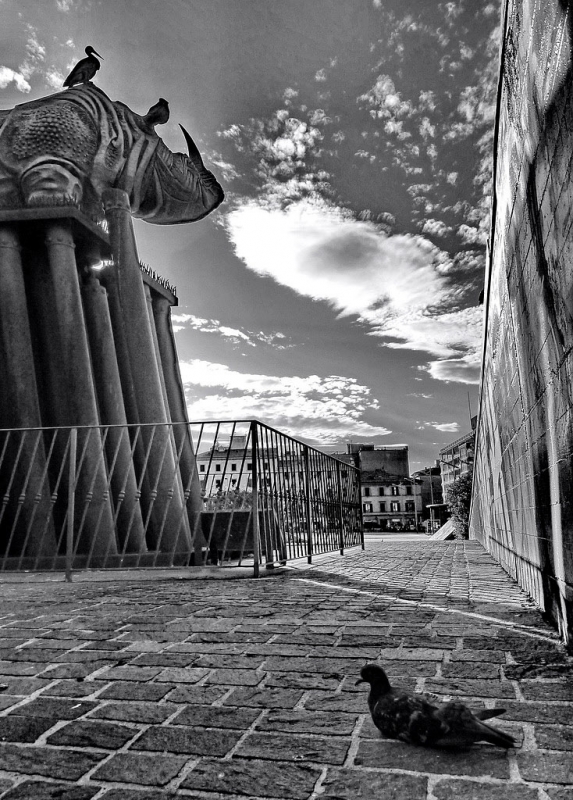 Clicca per l'immagine full size