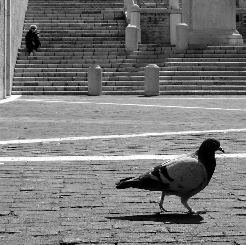 Clicca per l'immagine full size